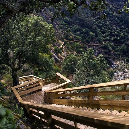 Casa Do Gaio-Turismo De Natureza Arouca Eksteriør bilde