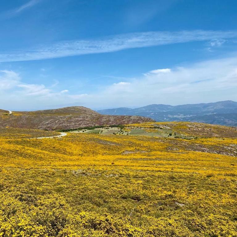 Casa Do Gaio-Turismo De Natureza Arouca Eksteriør bilde