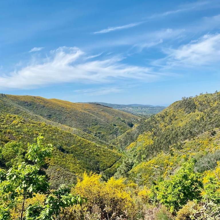 Casa Do Gaio-Turismo De Natureza Arouca Eksteriør bilde