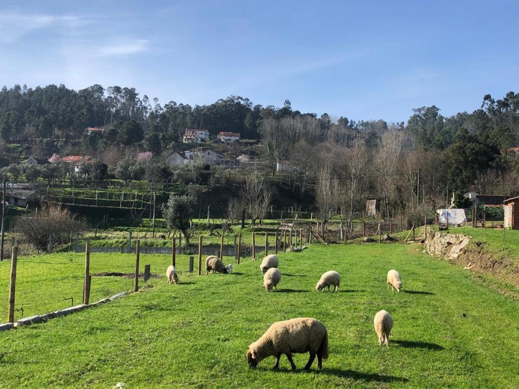 Casa Do Gaio-Turismo De Natureza Arouca Eksteriør bilde