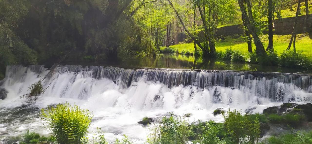 Casa Do Gaio-Turismo De Natureza Arouca Eksteriør bilde