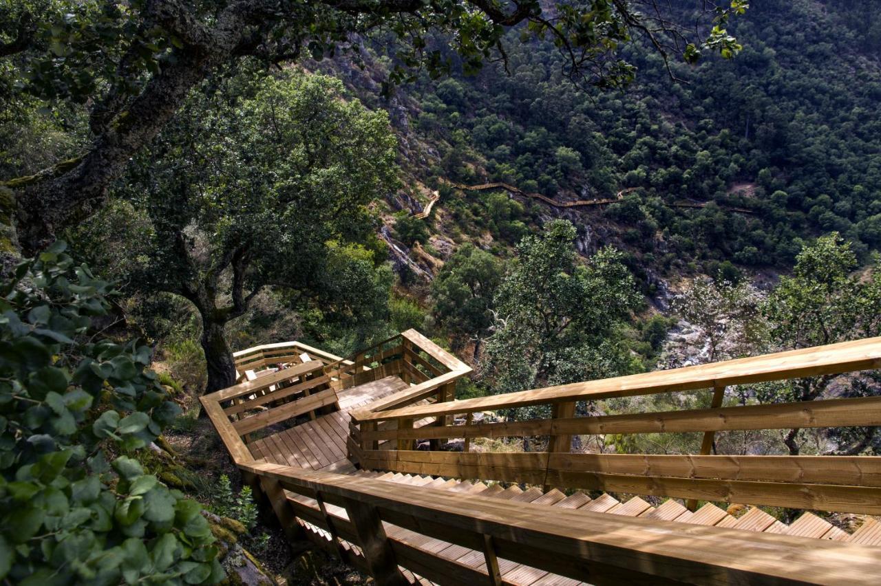 Casa Do Gaio-Turismo De Natureza Arouca Eksteriør bilde